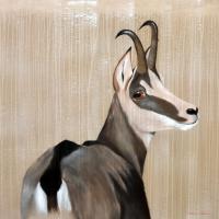MOTIONLESS CHAMOIS   Animal painting, wildlife painter.Dogs, bears, elephants, bulls on canvas for art and decoration by Thierry Bisch 